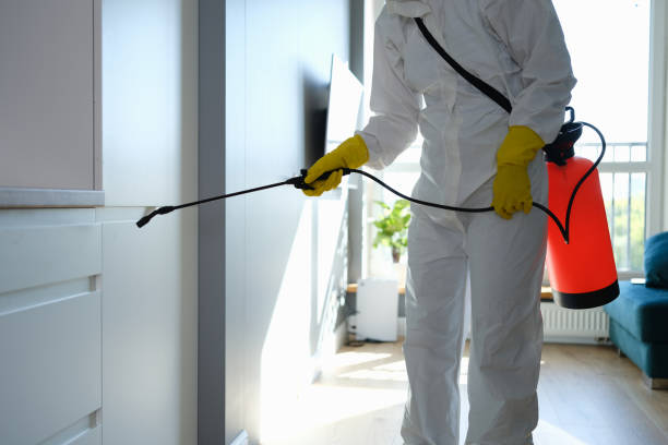 Attic Mold Removal in Hales Corners, WI